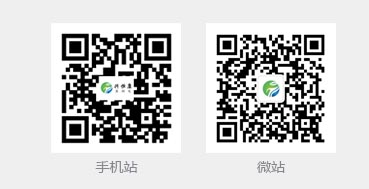 手機(jī)站，微站